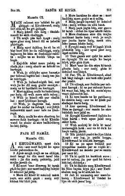 244